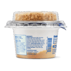 pumpkin pie pumpkin pie