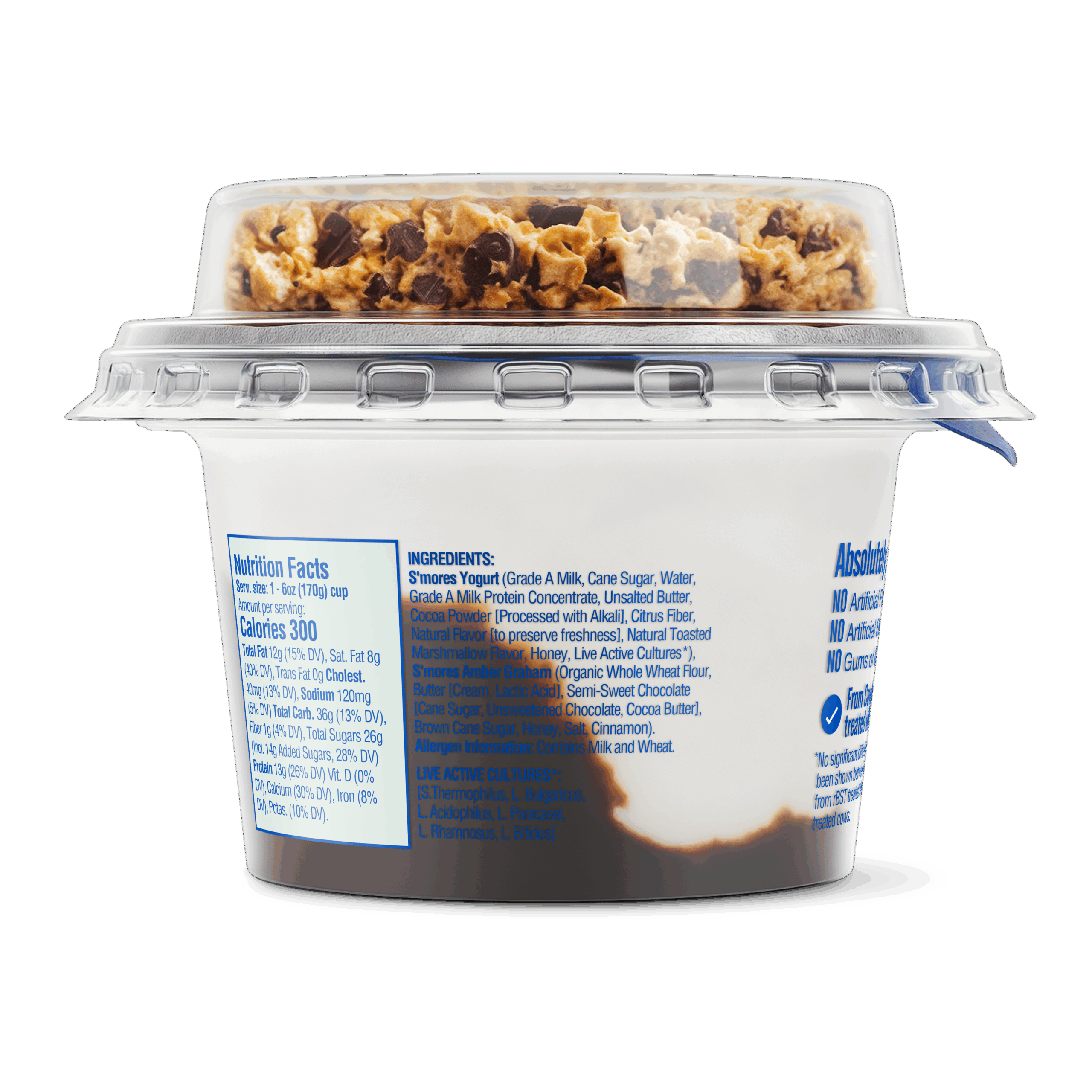 s'mores s'mores back of cup